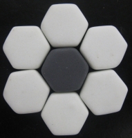 Wit zwart zeskant porselein 1.8 cm