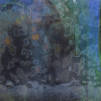 donker Paars/ Groen/Blauw 15 x 10 cm