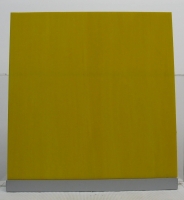 Geel 8