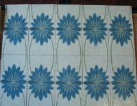 2.5 m2 Blauwe bloem 20 x 20 cm