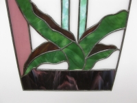 Tulpen