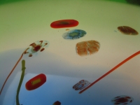 Vaas groen blauw