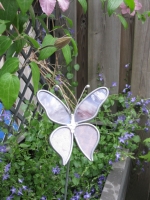 Vlinder paars