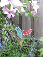 Vogeltje groen rood geel