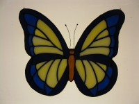 Vlinder geel blauw