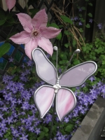 Vlinder paars roze