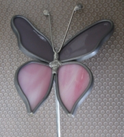 Vlinder paars roze