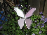 Vlinder  roze paars