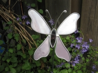 Vlinder  lila paars