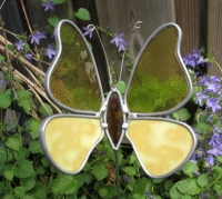 Vlinder geel