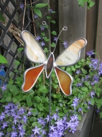 Vlinder geel oranje