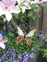 Vlinder geel oranje