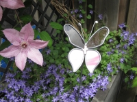 Vlinder roze