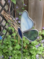Vlinder opzij blauw
