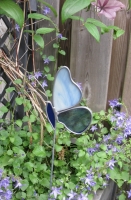 Vlinder opzij blauw