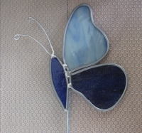 Vlinder opzij blauw