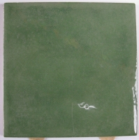 Oranje glans 9.7 x 9.7