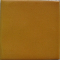 Warm geel oranje 10 x 10