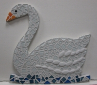 Zwaan